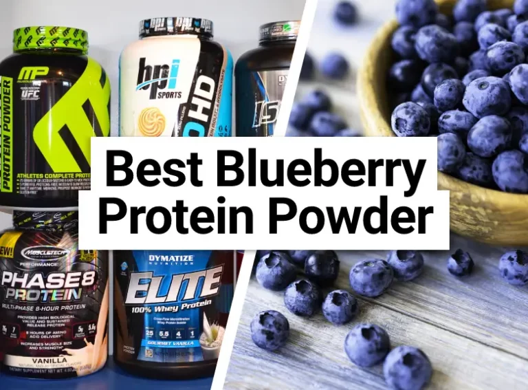 Best Tasting Blueberry Protein Powder