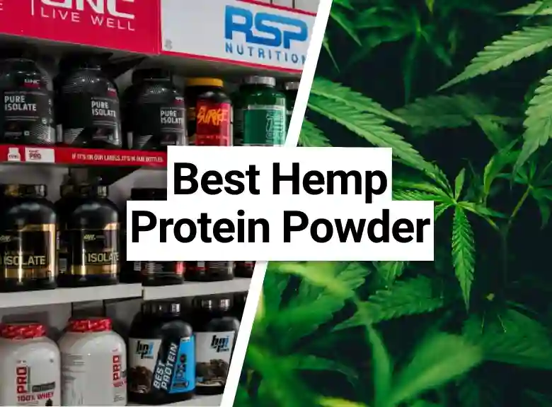 Best tasting hemp protein powder