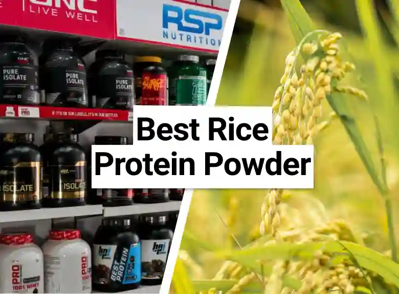 Best tasting rice protein powder
