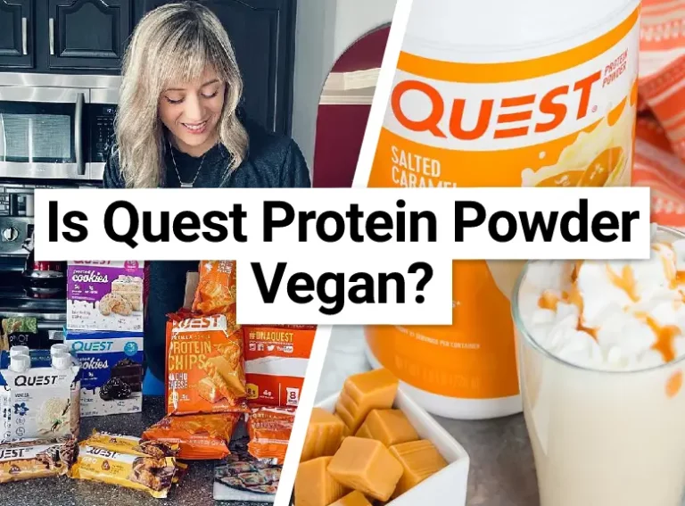 Is Quest Protein Powder Vegan?