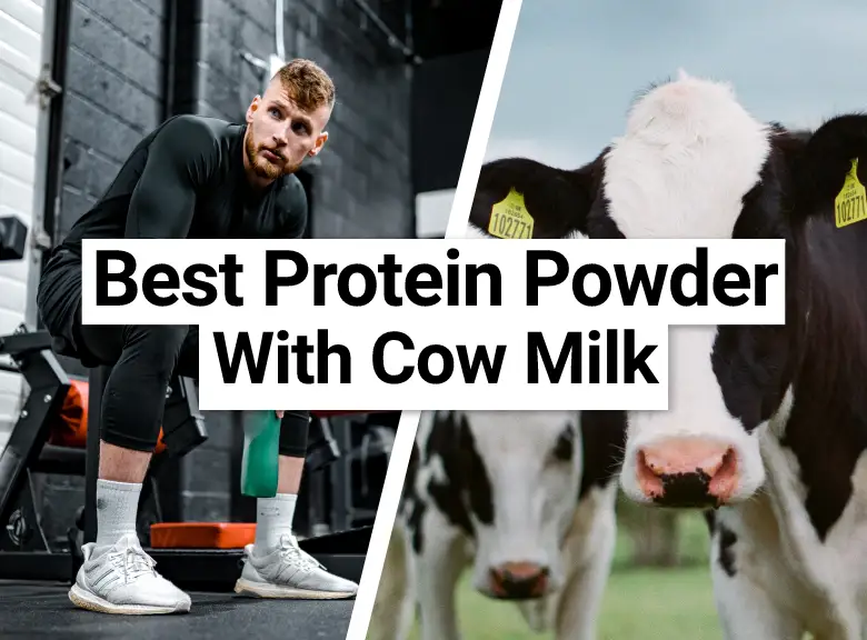Best Protein Powder To Mix With Milk