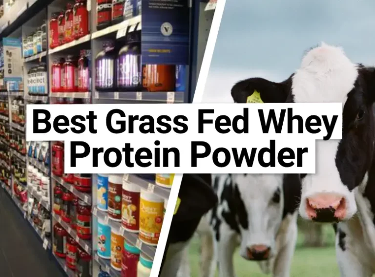 Best Tasting Grass Fed Whey Protein Powder